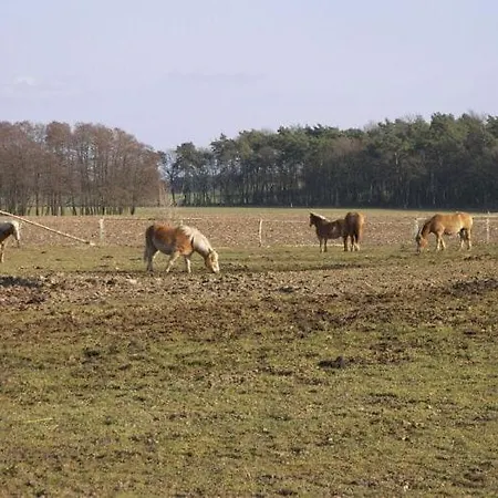 Aura - Comfort 2 With Shared Swimming Pool