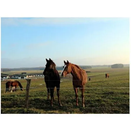 Aura - Comfort 2 With Shared Swimming Pool * دوبروفينك