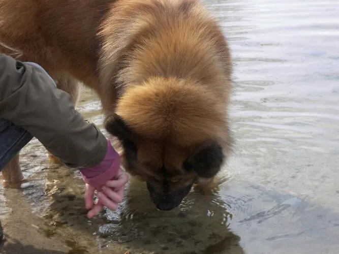 Aura - Comfort 2 With Shared Swimming Pool *