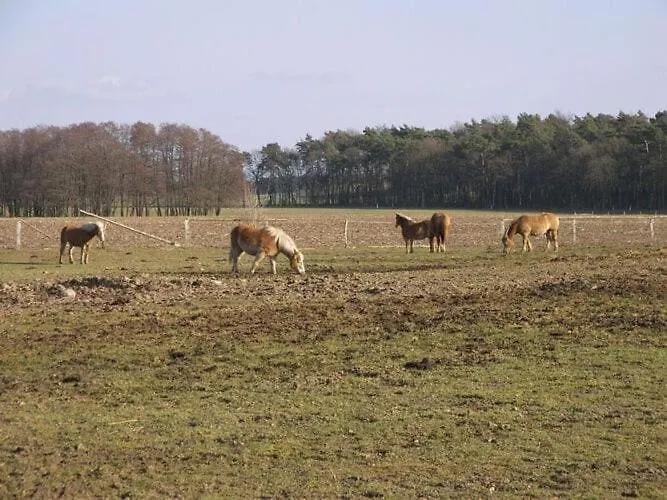 Aura - Comfort 2 With Shared Swimming Pool