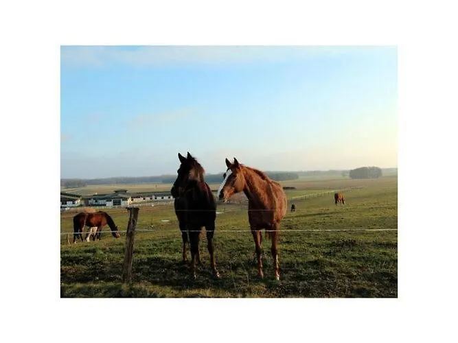 Aura - Comfort 2 With Shared Swimming Pool * Ντουμπρόβνικ