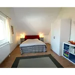 Aura - Comfort 2 With Shared Swimming Pool * Dubrovnik